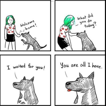 Du er alt for din hund